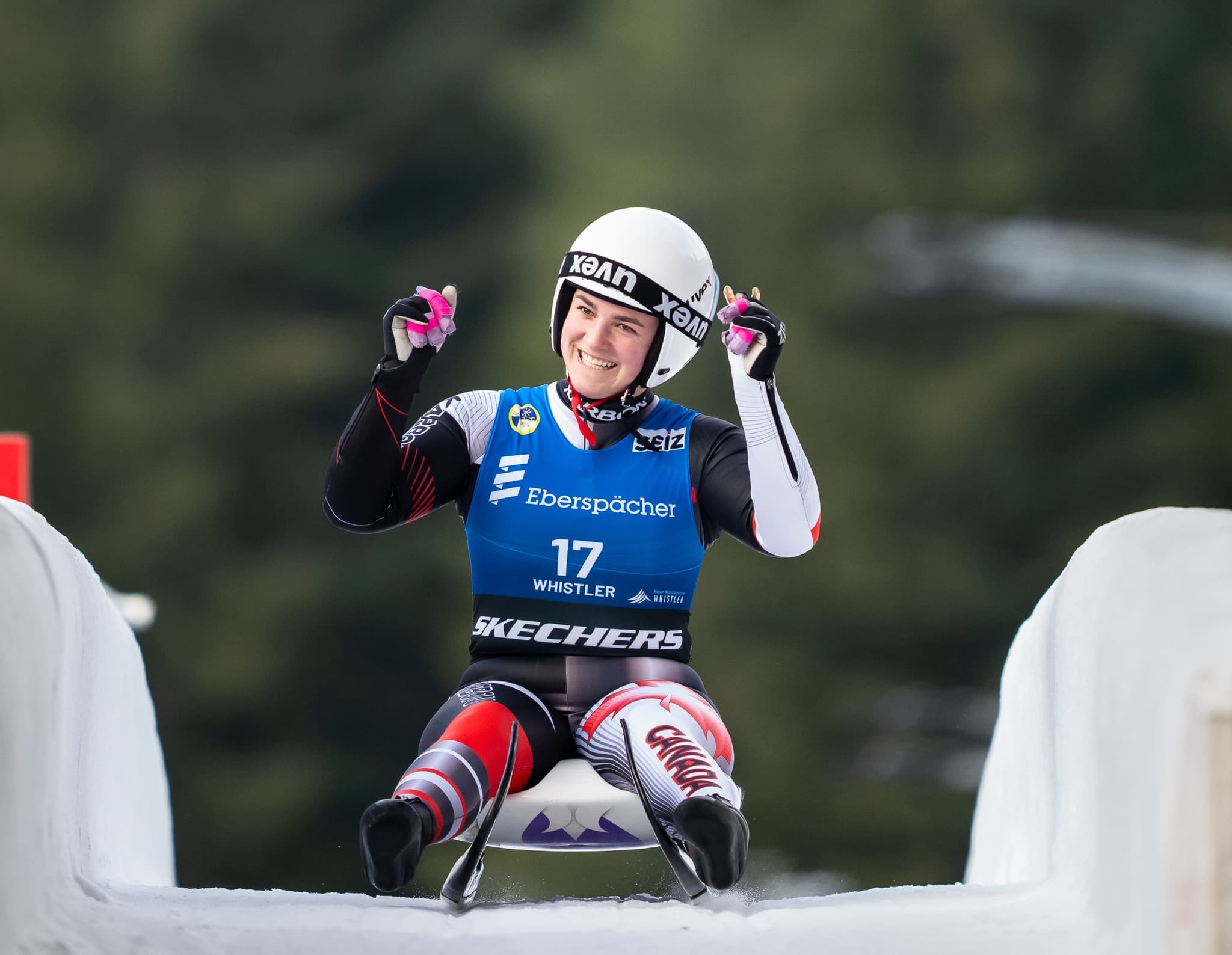 image showcasing the section